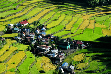 Ifugao Villages Trek