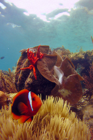 Palawan’s Best Kept Secrets