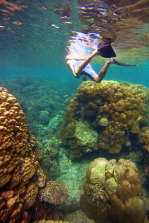 Palawan’s Best Kept Secrets