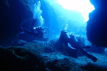 Visayas Dive Safari: Cebu, Negros & Bohol