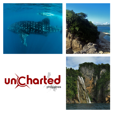 Swimming with Whale Sharks in Donsol