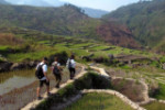 Heritage of the Cordillera: Banaue, Batad, Bangaan & Sagada