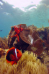 Palawan’s Best Kept Secrets