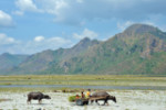 Pinatubo Volcano Off-Roading & Hiking