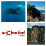 Swimming with Whale Sharks in Donsol